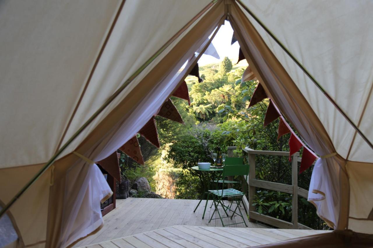 Hotel Kereru Site Waihi Esterno foto
